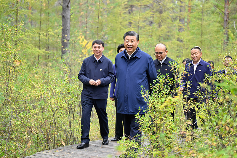 9月6日至8日，中共中央總書記、國家主席、中央軍委主席習近平在黑龍江考察。這是6日下午，習近平在大興安嶺地區(qū)漠河市漠河林場自然林區(qū)考察